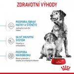 Royal Canin Starter Mother&Babydog Medium 12 kg – Sleviste.cz