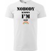 Pánské Tričko Sablio tričko s potiskem Nobody knows I am gay bílé