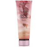 Victoria´s Secret Velvet Petals Golden tělové mléko 236 ml – Zboží Dáma