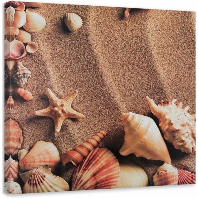 Obraz na plátně Mušle Mořský písek - 40x40 cm – Zboží Mobilmania