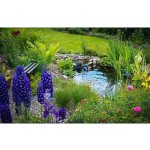 HEISSNER Okrasné jezírko s rybami CFD 3 8593085069496 – Zbozi.Blesk.cz