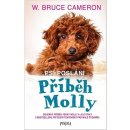 Kniha Psí poslání: Příběh Molly - Cameron W. Bruce