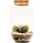 Gardners Skleněná dóza Cornus s korkovým špuntem, 22x15 cm - osázené suchomilné – Hledejceny.cz