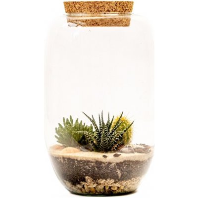 Gardners Skleněná dóza Cornus s korkovým špuntem, 22x15 cm - osázené suchomilné – Hledejceny.cz