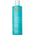 Moroccanoil Moisture Repair Shampoo 250 ml – Zboží Mobilmania
