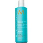 Moroccanoil Moisture Repair Shampoo 250 ml – Hledejceny.cz