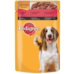 Pedigree Adult hovězí v želé 100 g – Hledejceny.cz