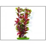 Hagen rostlina Red Ludwigia 20 cm – Hledejceny.cz