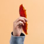 JK ANIMALS Chef's Meat Snack sušené kachní filety 200 g – Hledejceny.cz