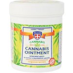 Palacio konopná masážní regenerační mast 125 ml – Zbozi.Blesk.cz