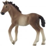 Schleich Andaluské hříbě – Hledejceny.cz