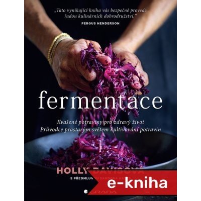 Fermentace: Kvašené potraviny pro zdravý život - Holly Davisová – Zboží Mobilmania