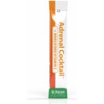 Jigsaw Health Adrenální koktejl s vitaminem C 4 g – Hledejceny.cz