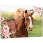 Karton P+P podložka na stůl Kůň 60 x 40 cm 3-79822 – Zboží Dáma