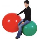 Ledraplastic Gymnic Therasensory 65cm