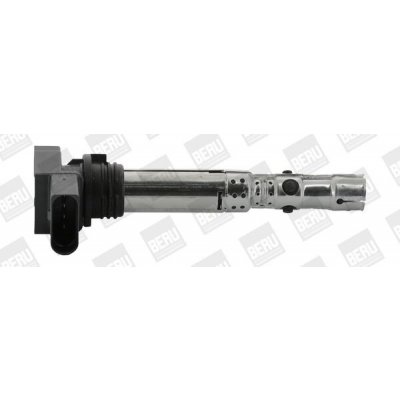 Zapalovací cívka BorgWarner (BERU) ZSE059 – Hledejceny.cz