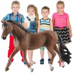 Schleich 13909 Horse Club Trakehner gelding – Hledejceny.cz