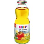 HiPP BIO jablečná s banánovou dužinou 500 ml – Zboží Dáma