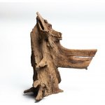 Rataj Mangrove Wood 0,2-0,5 kg – Zboží Dáma