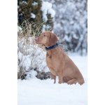 DogTrace X20 | Zboží Auto