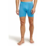 Icebreaker Mens Anatomica Long Boxers – Hledejceny.cz