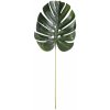 Květina Okrasný list Monstera - 60cm