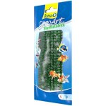 Tetra Anacharis 15 cm – Sleviste.cz
