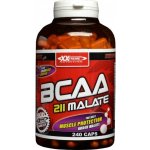 XXtreme BCAA Malate 211 120 kapslí – Zboží Mobilmania