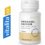 Epigemic Shogaol Zázvor 30 kapslí – Hledejceny.cz