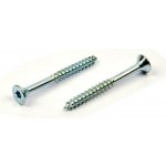 Univerzální vrut do dřeva 6x60/36 TORX zinek bílý, částečný závit – Hledejceny.cz
