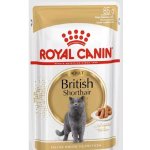 Royal Canin British Shorthair Gravy 85 g – Hledejceny.cz
