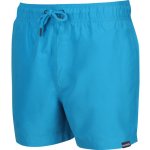 Regatta Mawson SwShort III RMM016 3FN – Hledejceny.cz