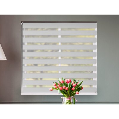 Fexi Roleta Den a noc, Origin skála, C 008 150x30 cm levá-bílá – Hledejceny.cz