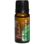 Natasha Směs esenciálních olejů Mint Mint 10 ml – Hledejceny.cz