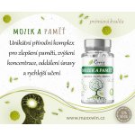 Maxxwin Mozek natural 500 g 90 kapslí – Hledejceny.cz