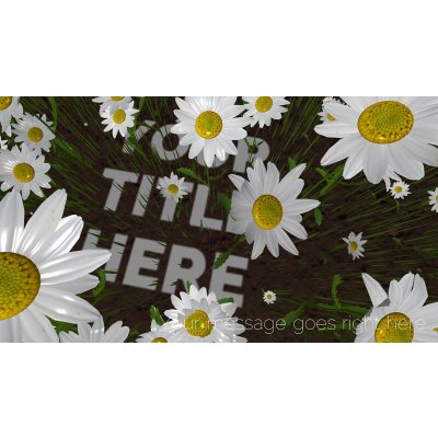 BIXPACK 28 - Flowers (Květiny) – Hledejceny.cz