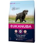 Eukanuba Caring senior Large Breed 15 kg – Sleviste.cz
