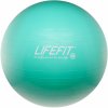 Lifefit Anti-Burst 65 cm