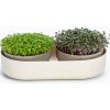 Osivo a semínko Klíčící miska MICROGREENS + Regrow - slonová kost