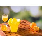 Orion odšťavňovač Citrusů – HobbyKompas.cz
