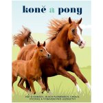 Caroline Stamps Koně a pony. Vše o koních, jejich plemenech, chovu, výcviku a vybavení pro jezdectví – Hledejceny.cz