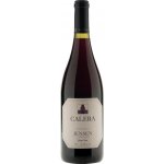 Calera Jensen Vineyard Pinot Noir 2022 Červené 14.9% 0,75 l (holá láhev) – Hledejceny.cz