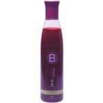 Berrywell Red Shampoo 251 ml – Zbozi.Blesk.cz