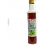 Salvia Paradise Máta marocká bylinný koncentrát 250 ml – Zbozi.Blesk.cz