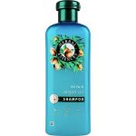 HERBAL ESSENCES Šampon s arganovým olejem 350 ml – Hledejceny.cz