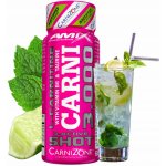 Amix CarniShot 3000 60 ml – Zboží Dáma