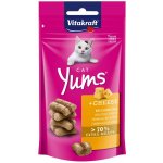 Vitakraft Cat Yums Sýr 40 g – Hledejceny.cz