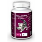 Roboran Gel kočka 60 g – Sleviste.cz