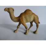 Schleich 14832 Wild Life Dromedary – Hledejceny.cz
