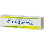 CICADERMA DRM UNG 30G – Hledejceny.cz
